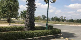 [Cần bán] cần tiền bán gấp lô đất MT đường 824, Đức Hòa SHR, DT 5x20, Giá 800Tr/lô