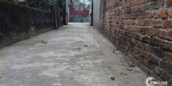 Bán đất Cửu Việt 2, Trâu Qùy, Gia Lâm, 43,8m ( GIÁ RẺ).