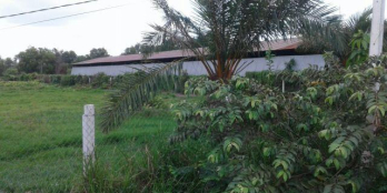 Bán đất thông Hoàng Long, Đặng Xá, 40m2 đường 5m.