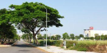 Cần bán lô mặt tiền đường 36m Vũ Trọng Phụng, Trung tâm Thành phố Đà Nẵng.