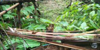 Chính chủ cần bán đất yên vĩnh, kim chung 40m2