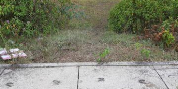 ĐẤT KIỆT NGUYỄN KHOA VĂN, GIÁ CHỐT TRONG TUẦN