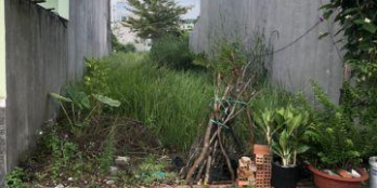 Sang gấp đất kế bên trường học