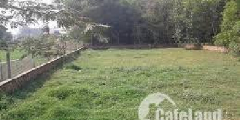 [Gấp gấp] Cần tiền bán gấp đất  đường Trần Đại Nghĩa giá rẻ chỉ 859 triệu