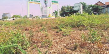 Cần tiền bán gấp lô đất MT Bình Chánh, đã số