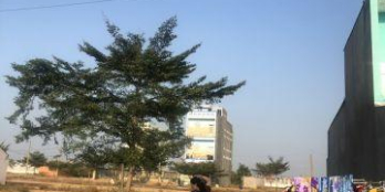 Sang tay gấp 5 lô gần chợ Bà Lát - Trần Văn Giàu, Bình Tân