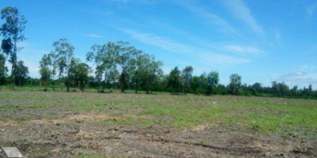 1000m2 đất thổ mặt tiền Hương Lộ 11 giá phát mãi 4tr/m2.