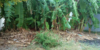 Do thiếu tiền cần bán gấp lô đất đường Nguyễn Văn Long, 138m2, giá 1 tỷ 250, 0909081478