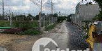 Bán đất nền huyện Bình Chánh sổ hồng riêng, 5x30