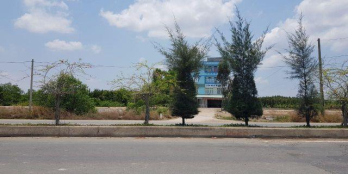 Đất Đường Rừng Sác, Cần Giờ, sổ hồng chính chủ 3,75 triệu/m2