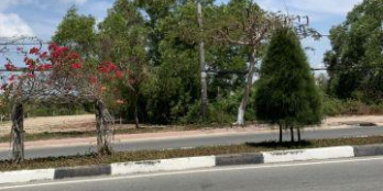 Bán Gấp Đất MT đường Lương Văn Nho, h.Cần Giờ, tiện KD, LH 0707036993