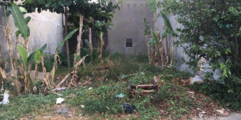 BÁN đất MT Trần Tử Bình - Tân An Hội - TT Củ Chi - Cách nhà thờ Tân Thông 100m- SHR - GIÁ RẺ