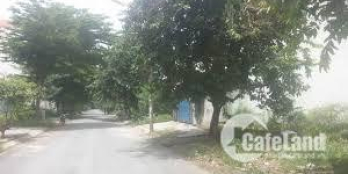 Đất MT gần trường Tân Thông Hội-Suối Lội-HL2-Củ Chi. SHR-GIÁ RẺ