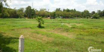 Nợ tiền mua nhà cần sang lại 500m đất vườn MT Cây Trôm, Thái Mỹ Giá 900tr