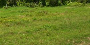 Bán lô đất vườn 500m2, mặt đường nhựa 8m, có sổ sang tên ngay