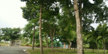 Đất chính chủ 100% thổ cư, SHR, TDXD