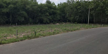 Ngân hàng thanh lý 05 lô đất mặt tiền Tỉnh lộ 7, giá: 850tr/nền