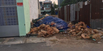 Đất Sổ Hồng Riêng Đường 8m Nằm Trên TL2 - Xã Tân Phú Trung - Củ Chi. GIÁ RẺ