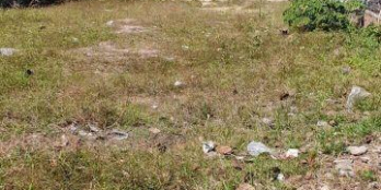 MT Võ Văn Bích, 6X19M, Đường 20m, Sổ Y Hình