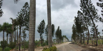 Mở bán 30 suất nội bộ duy nhất KDC Saigon Star City.