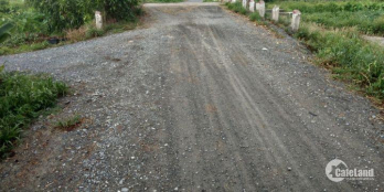 Cần bán lô đất tại đường Bình Mỹ, huyện Củ Chi, TP. HCM.