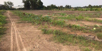 Bán đất trồng cây 527m2 chỉ 1 tỉ 360tr Bình Mỹ - Củ Chi