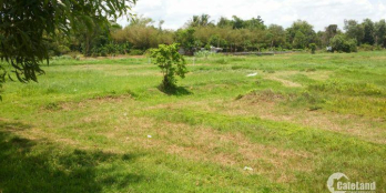 Cơ hội cho nhà đầu tư, 500m2 đất vườn xã thái mỹ củ chi, giá 900tr