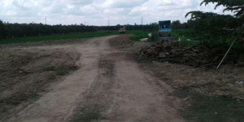 Bán 500m2 đất vườn Thái Mỹ Củ Chi , sổ riêng sang tên trong ngày.