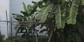 Tôi có lô đất cần bán nhanh Quốc lộ 22,Tân An Hội,Củ Chi cách chợ Việt Kiều 200m,dt 70m2 giá 1 tỷ