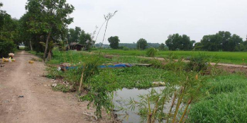 Đất trồng cây lâu năm giá chỉ 600k/m2