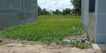 Đất nền Củ Chi, SHR, xây dựng tự do