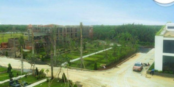 Thị trường ngách xu thế nhà đầu tư thông minh 2019