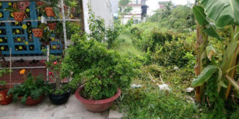 98m2 ngay trường Qtế Mỹ AIS, Nhà Bè sổ riêng giá 2.25 tỉ