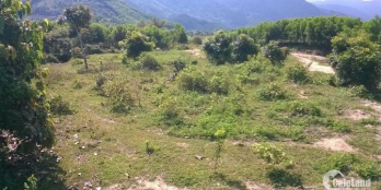 bán đất có suối có sổ làm nhà vườn nghỉ dưỡng