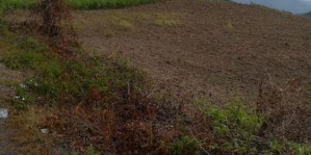 bán đất 13.000m thích hợp đầu tư phân lô DIên Khánh