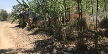 Bán 1.5 mẫu đất có thổ cư gần UBND xã Phước Bình sổ hồng công chứng ngay.