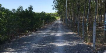 Chính chủ bán đất sau UBND Tân Hiệp, Long Thành, 9500m2(200m2 thổ), 1.9triệu/m2.