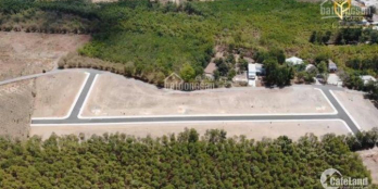 100m2 Đất Nền Thổ Cư Chỉ 700tr Ngay Long Thành, Cụm KCM Vedan