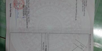 Bán đất mặt tiền xã Phước Bình ,DT 530m2, SHR, cách mặt tiền Phước Bình (32m) chỉ 250m