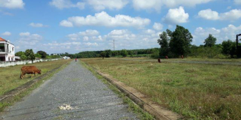 Chính chủ bán 4 lô đất gần sân bay Long Thành, chợ, trường, KDC đông, 300m2 chỉ 1,15 tỷ