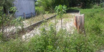 CẦN tiền bán gấp đường kiệt 5m Lưu quang vũ đối diện nhà đa năng bệnh viện quốc tế