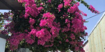 chính chủ bán lô đất 2 mặt kiệt bê tông 3m mai đăng chơn , gần chợ bình kỳ