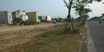 Đất Nguyễn Duy Trinh, Vị trí đắc địa, giao thông thuận tiện