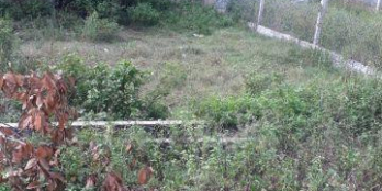 Cần tiền bán gấp lô đất kiệt đường lớn lƯU QUANG VŨ