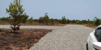 Đất Nền Khu Dân Cư Thiện Nghiệp _ Thổ cư 100%