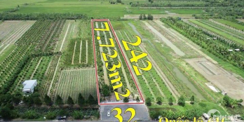 Đất mặ tiền QL61C thuộc Phong Điền - Cần Thơ