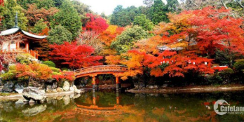 KHU ĐÔ THỊ TMS GRAND CITY PHÚC YÊN, ĐIỂM SÁNG MỚI TẠI THÀNH PHỐ MỚI