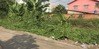 Bán lô đất Thạnh Lộc cách ngã 4 ga 700m