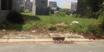 Mổ tim cho con bán rẻ 259m2 đất Mặt Tiền Trần Văn Quang giá rẻ 3,85 tỷ - 093 4936 728