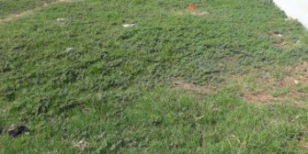 Bán đất thổ cư 2 mặt tiền TL824 đi vào 100m, 5x18